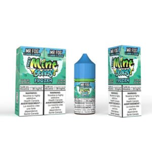 Mr Fog 30ml 20mg Mint Steezy Frozen Juice