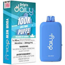 Drip'n Daily 100k Just Mint Dispo