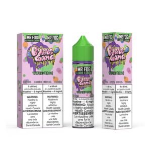 Mr Fog 60ml 12mg Bubble Gang Watermelon Juice
